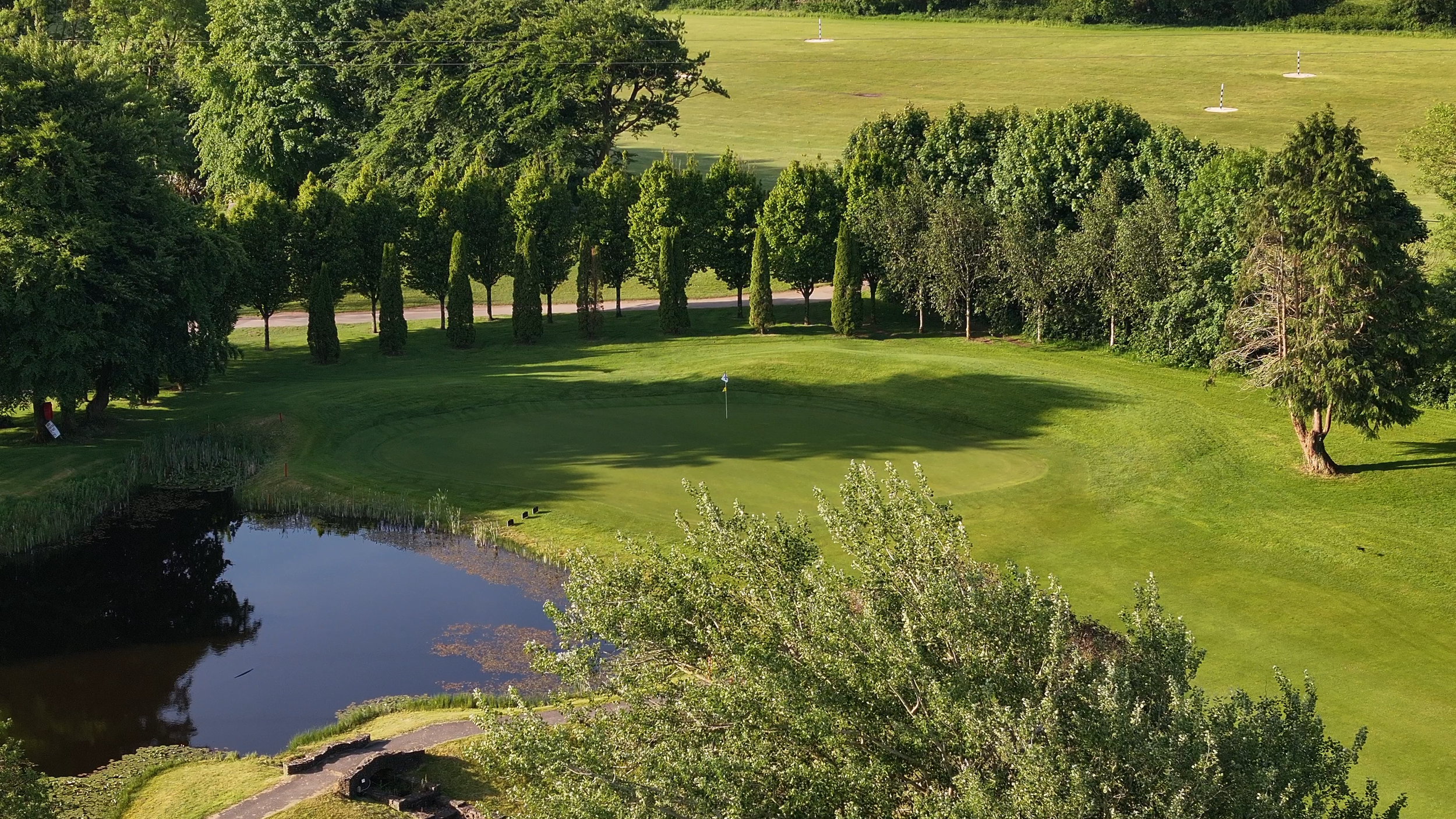 A golf course with a green surrounded by trees and a small pond in the foreground, featuring a flagstick on the putting green.