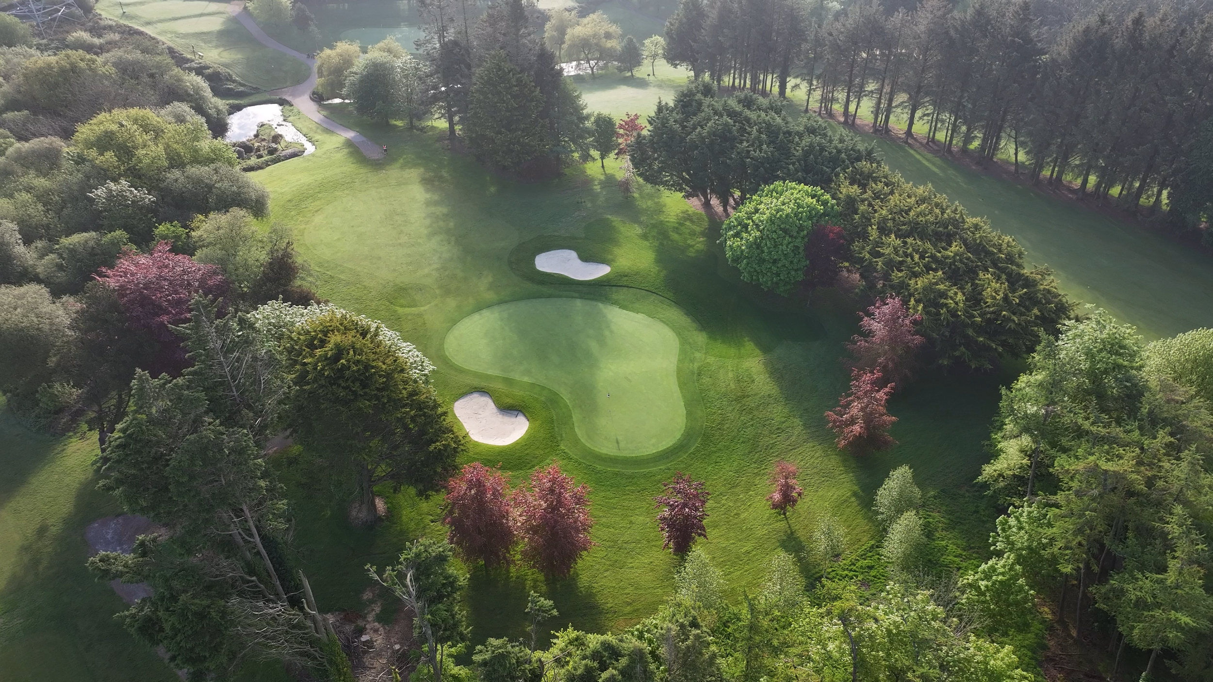 Aerial view of a golf course with a putting green, two sand bunkers, surrounded by trees and a small pond nearby.