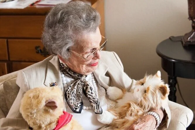 Association on Aging in NY and Ageless Innovation distribute robotic companion pets to those most at-risk for social isolation