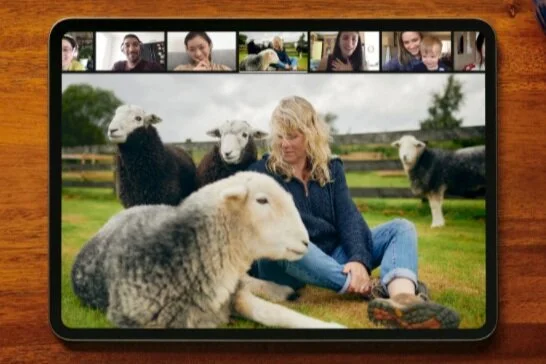 Airbnb launches 'Online Experiences' including virtual hangouts with goats and cooking classes