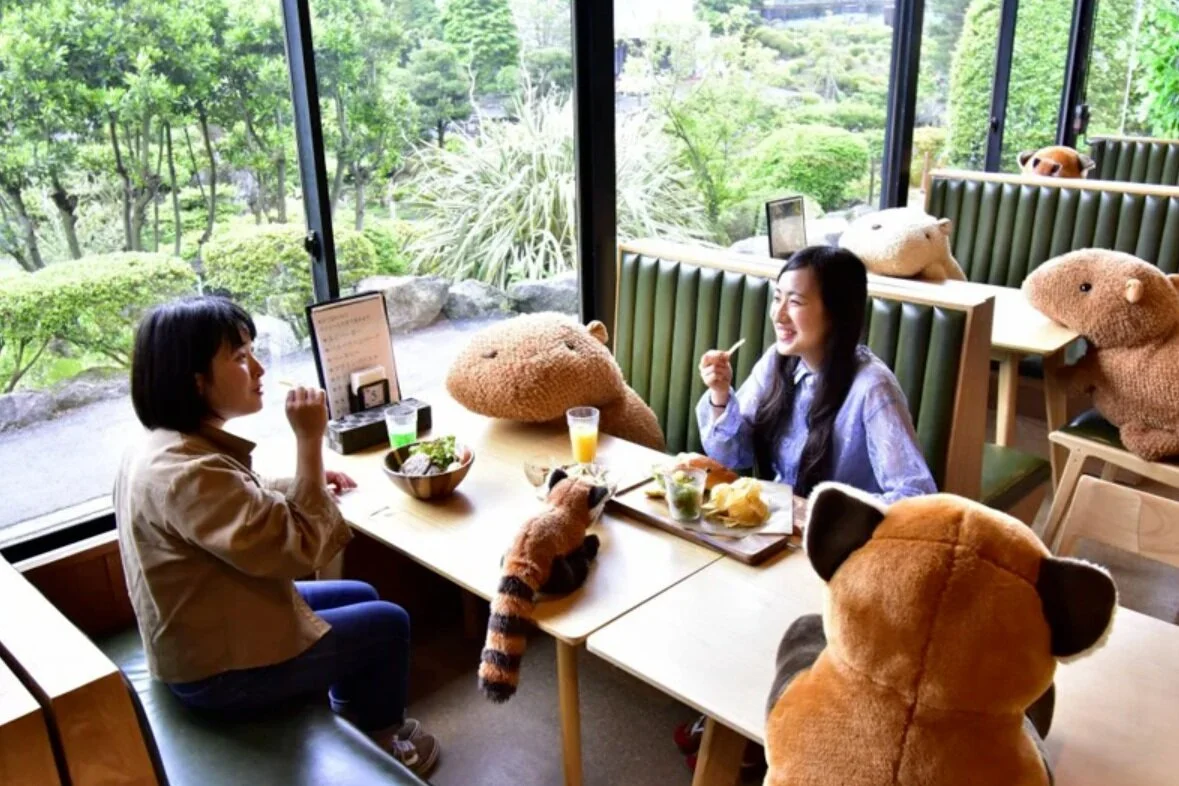 Japanese Izu Shaboten zoo uses stuffed animals to ensure social distancing in its restaurant