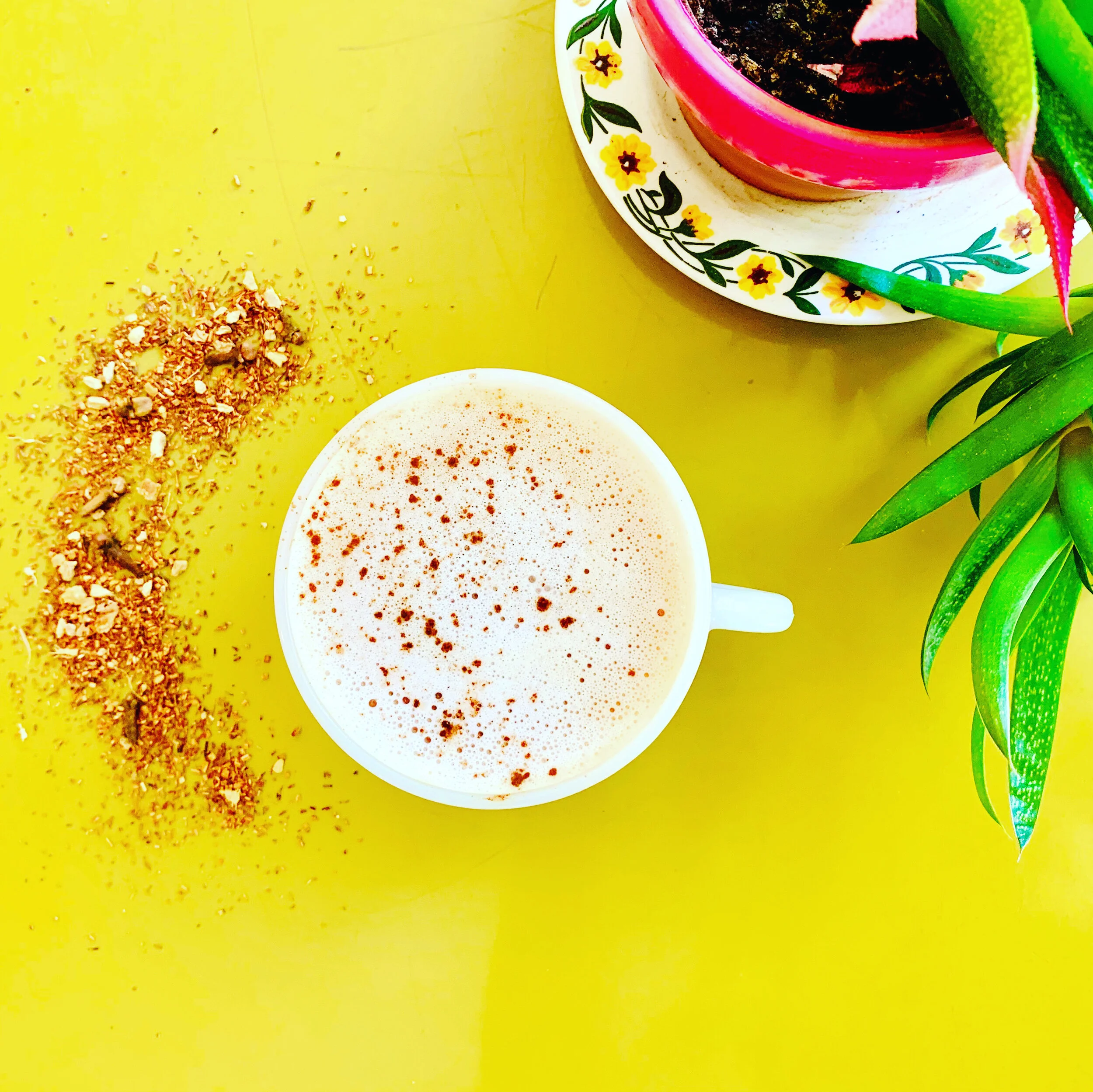 Rooibos Chai