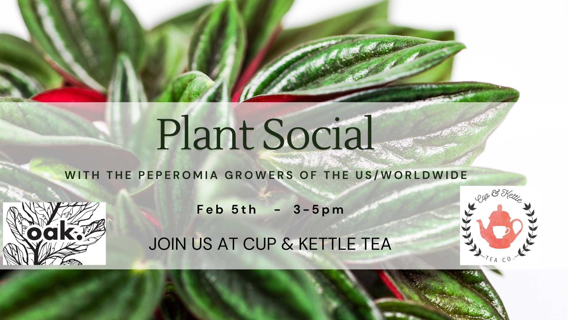 Plant Social