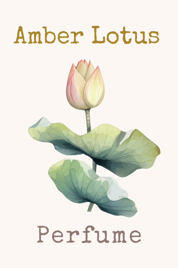Amber and Lotus — Cup & Kettle Tea