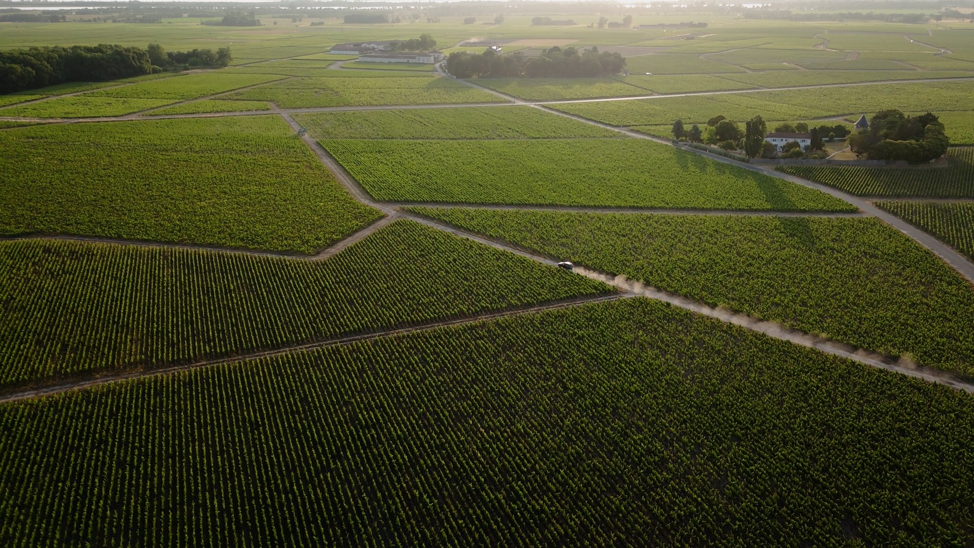 Image 2026-02-23 110244_1.6.1.jpg