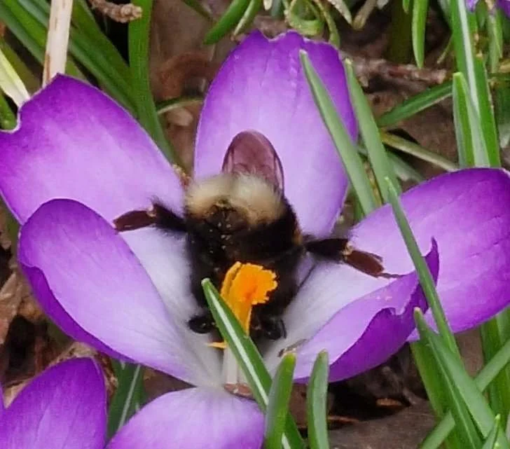 Träningskväll Mediumskap onsd 11 mars, för dig som har gått kurs tidigare