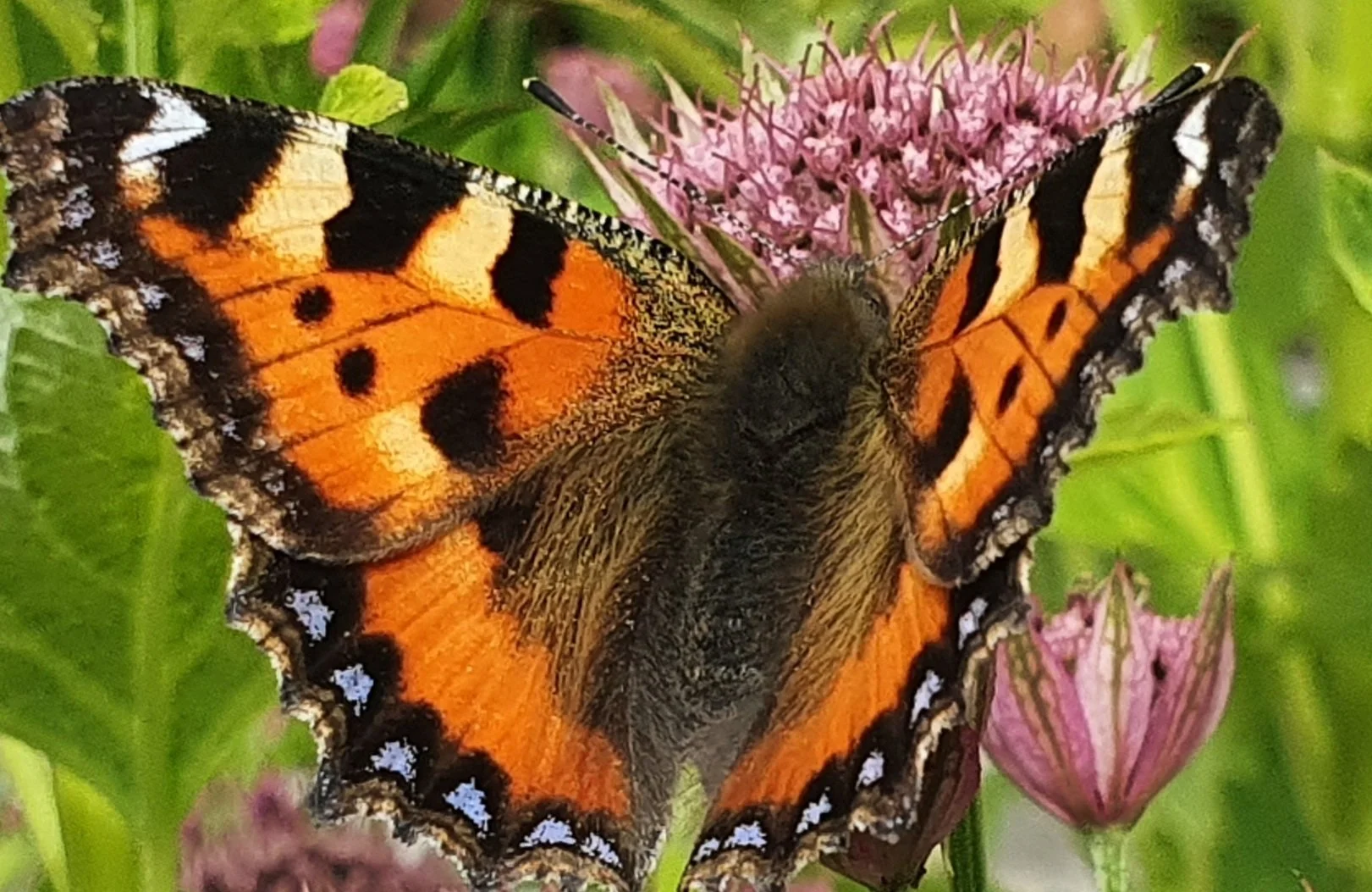 Träningskväll Mediumskap onsd 17 juni, för dig som har gått kurs tidigare 