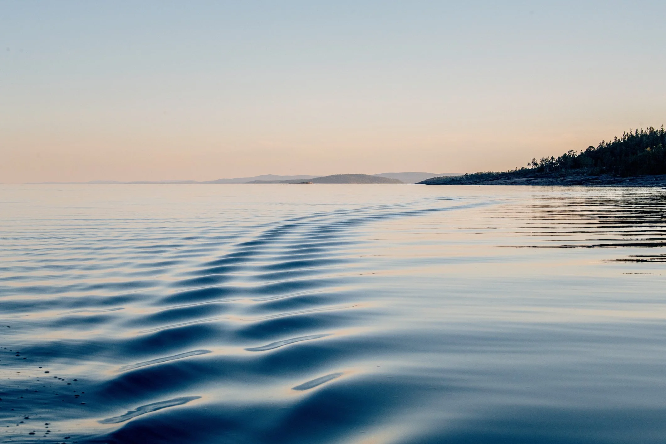 iStock-1420929710.jpg