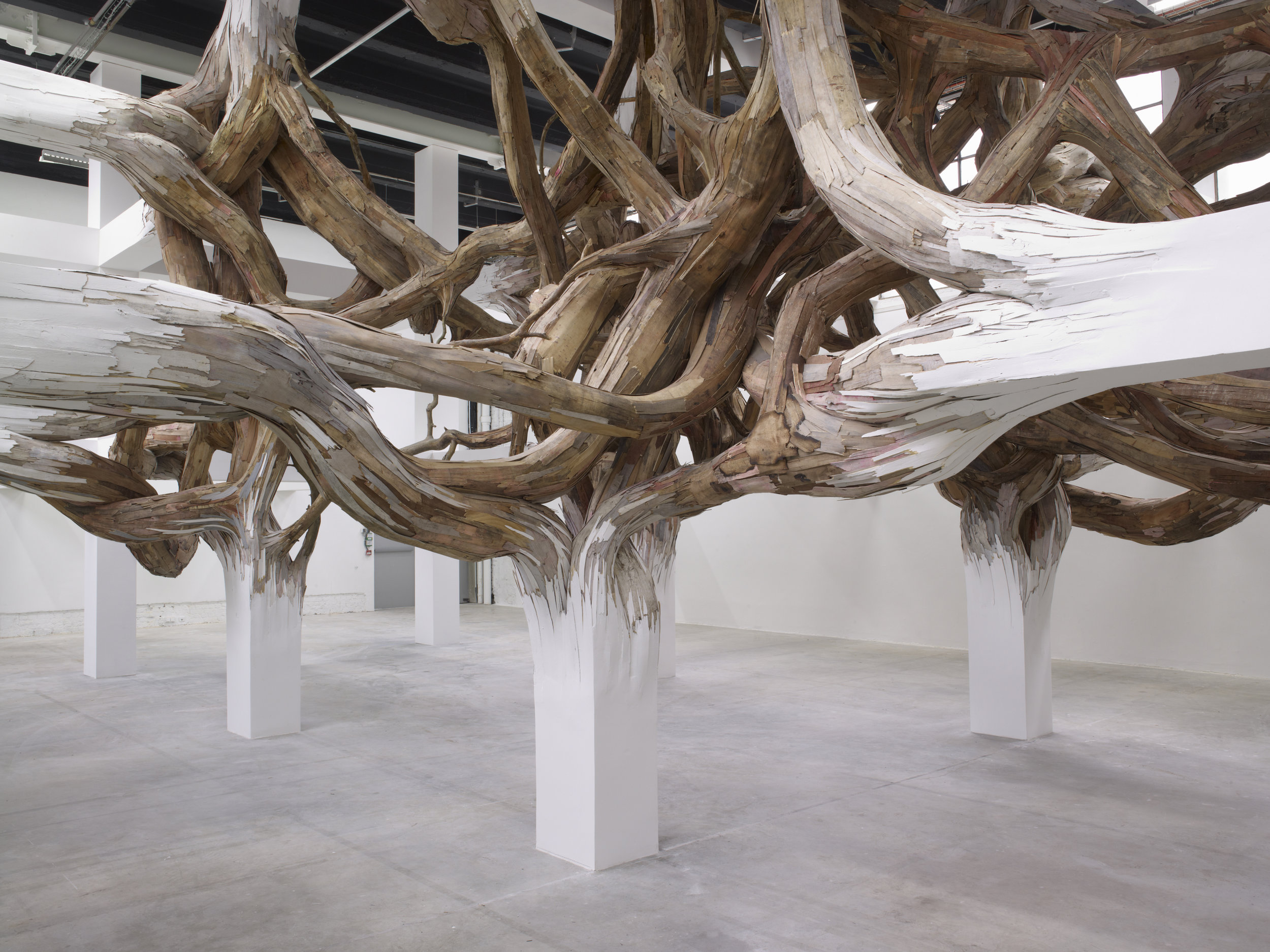 Henrique Oliveira’s exhibition “Baitogogo”. Palais de Tokyo.