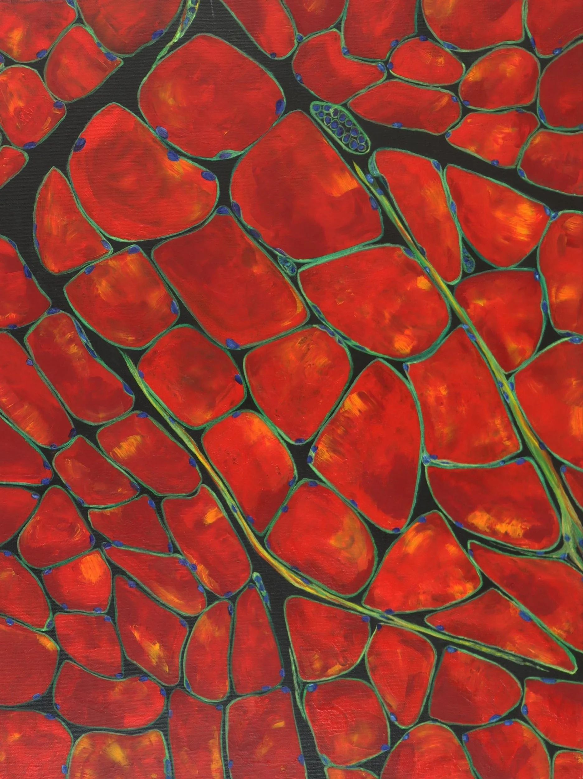 Cells of Strength