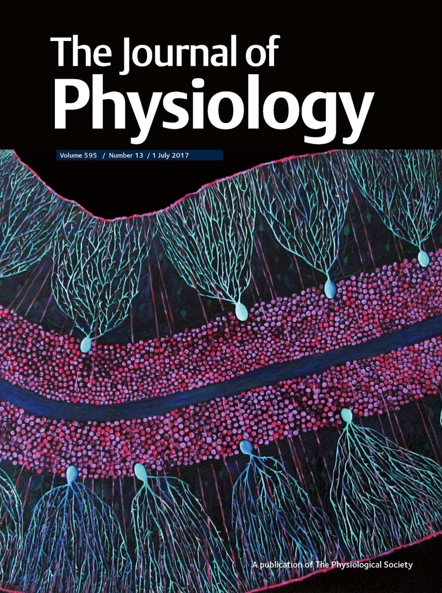 J physiology cover(1).jpg