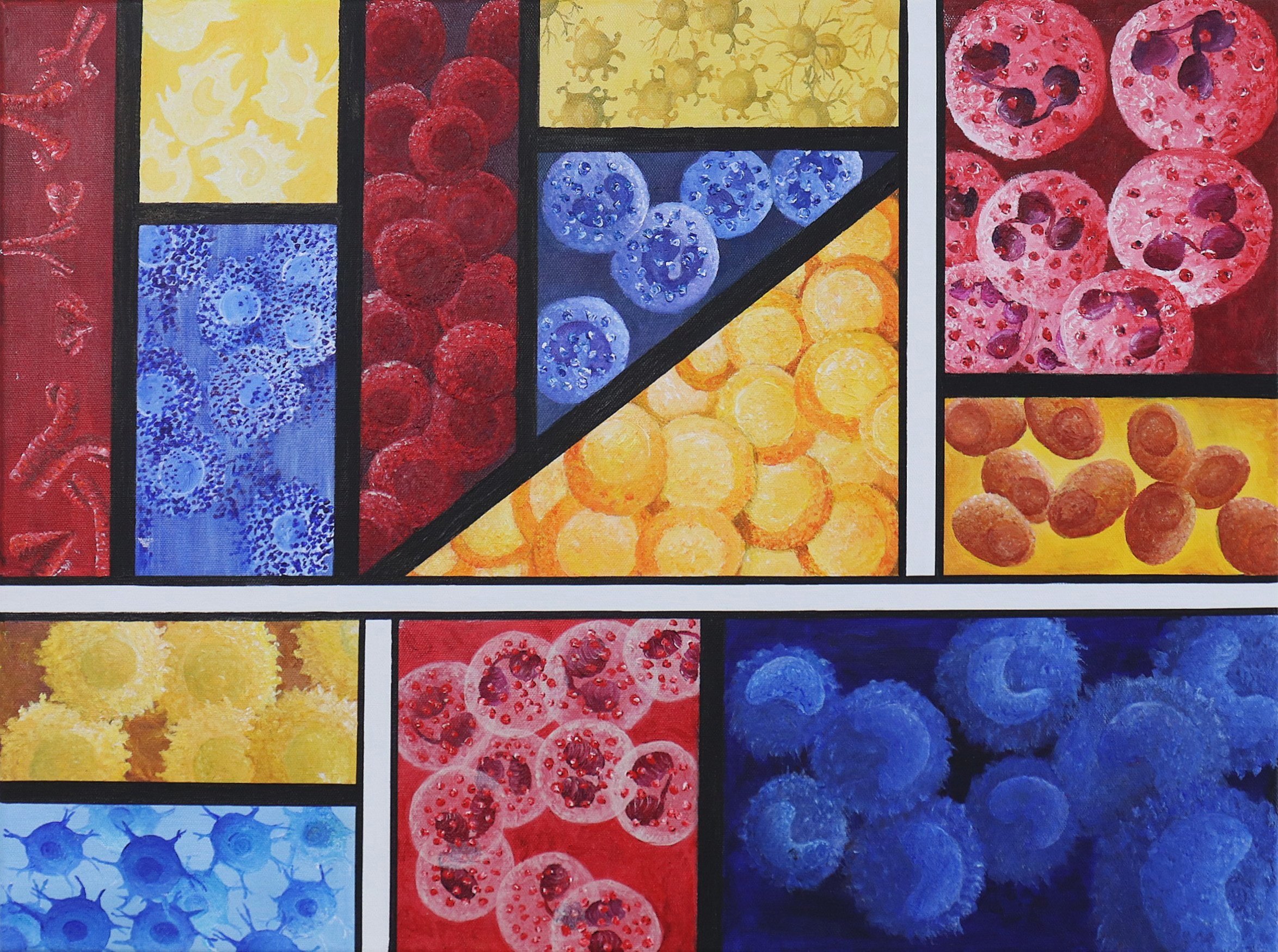 Mondrian Immune System