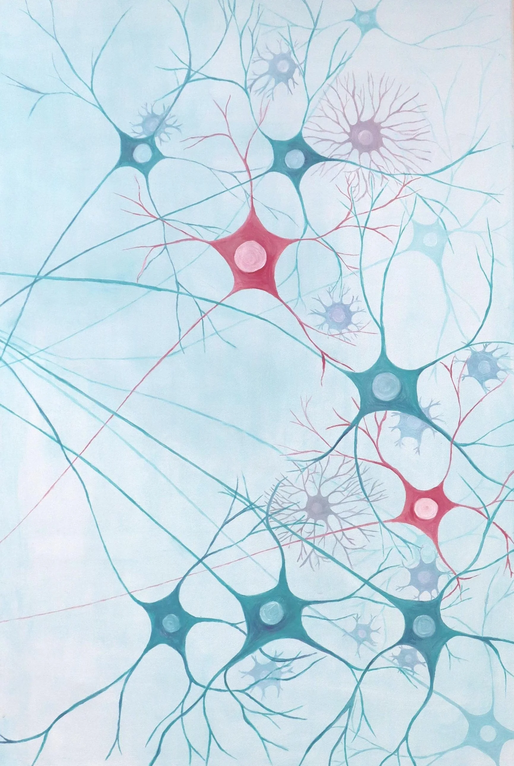 Neuroimmune+Connections+3.jpg