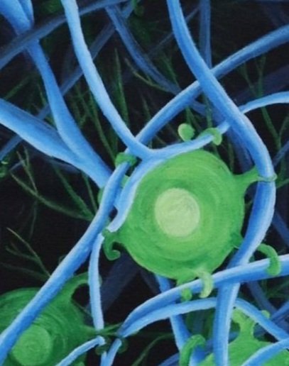 Neuroinlfammation_4white%252Bspace.jpg