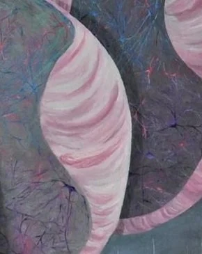 spinalcord4whitespace.jpg
