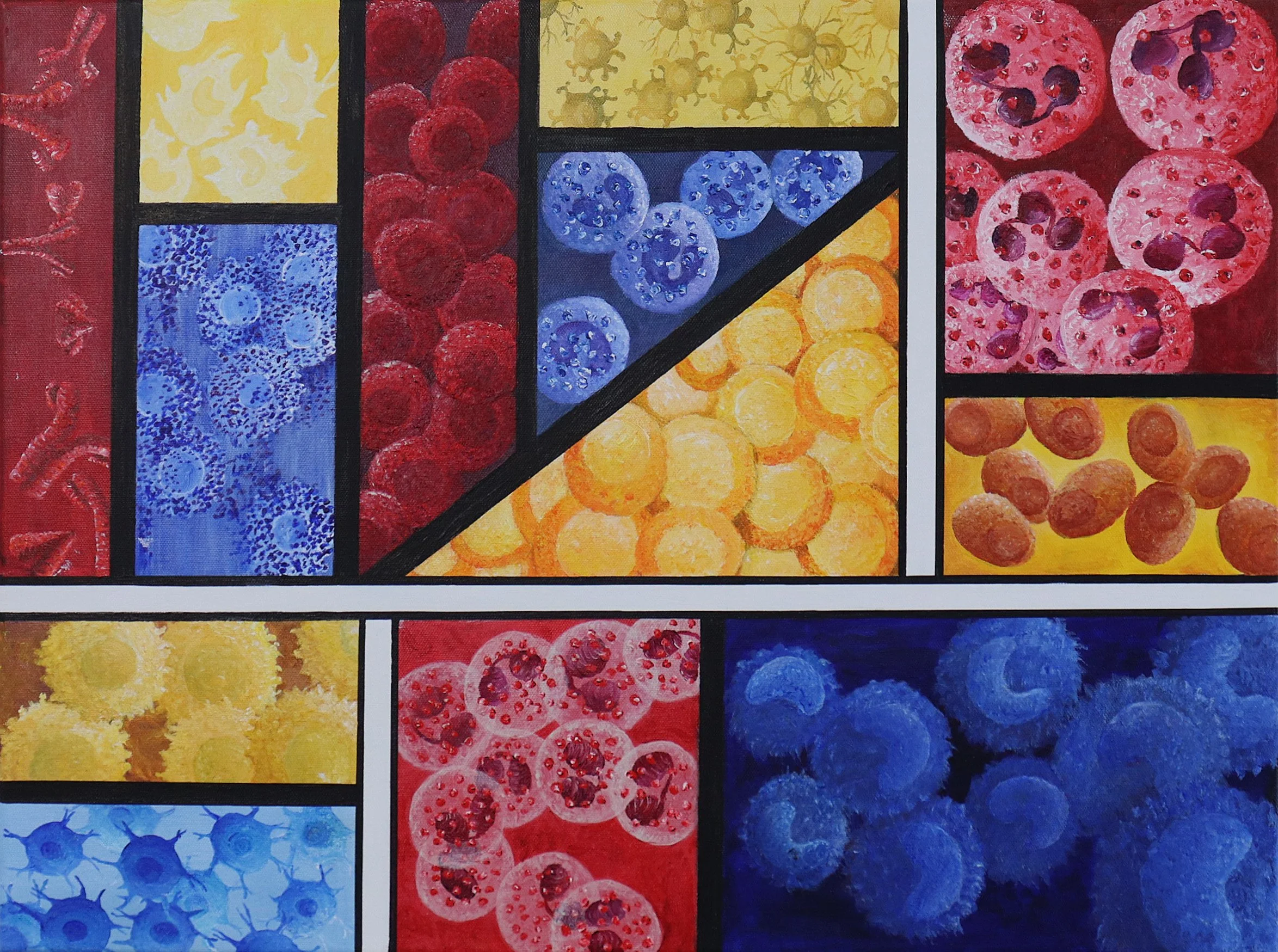 Mondrian Immune System.jpg