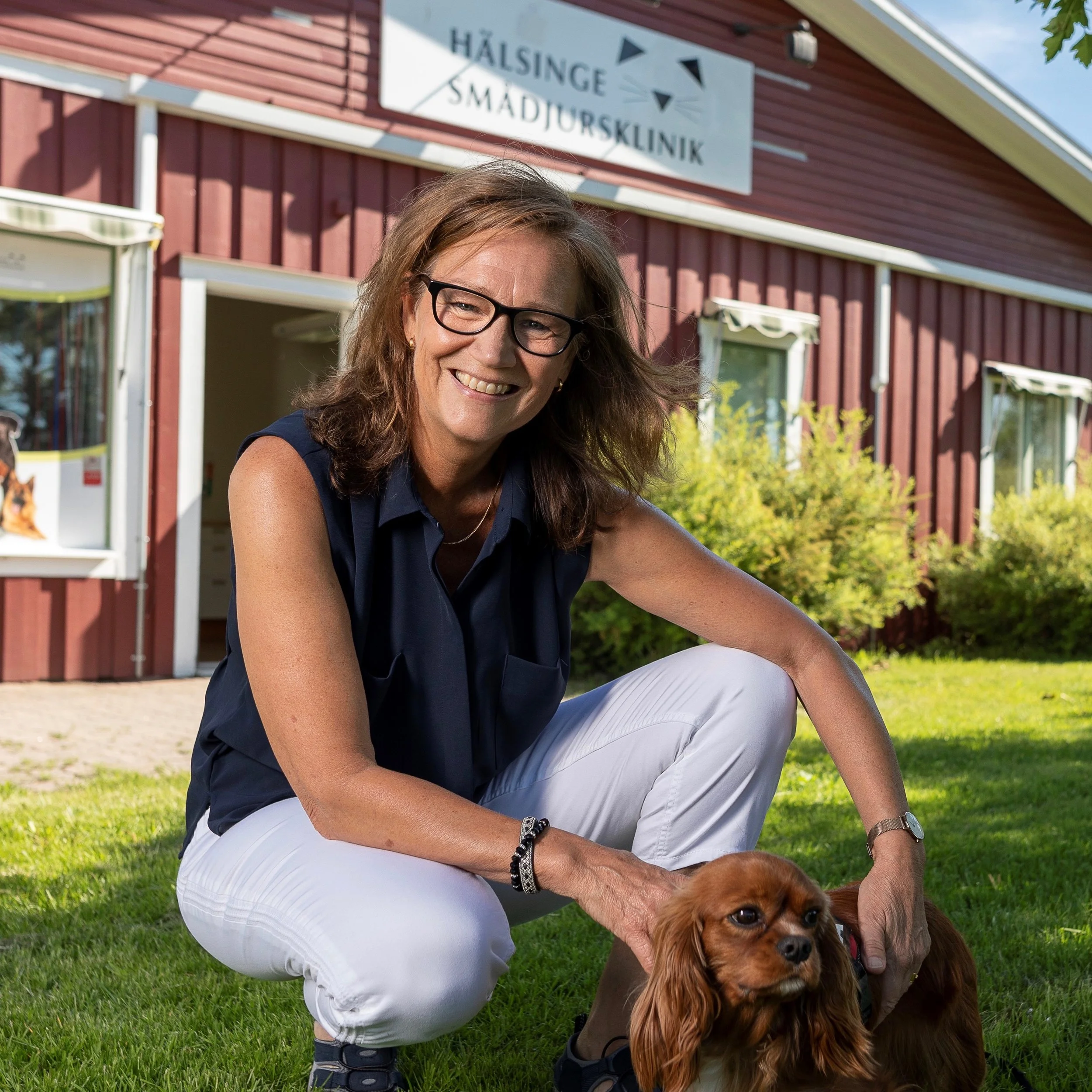 INNEHÅLLSPRODUKTION TILL HÄLSINGE SMÅDJURSKLINIK NYA WEBBSIDA