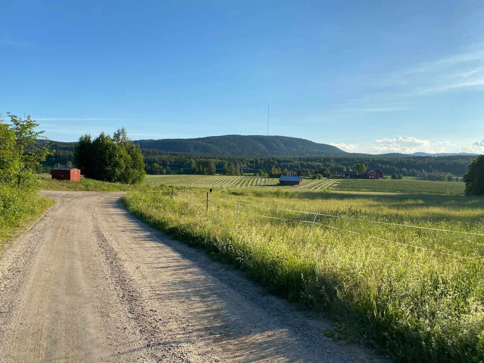 14 år i Hälsingland