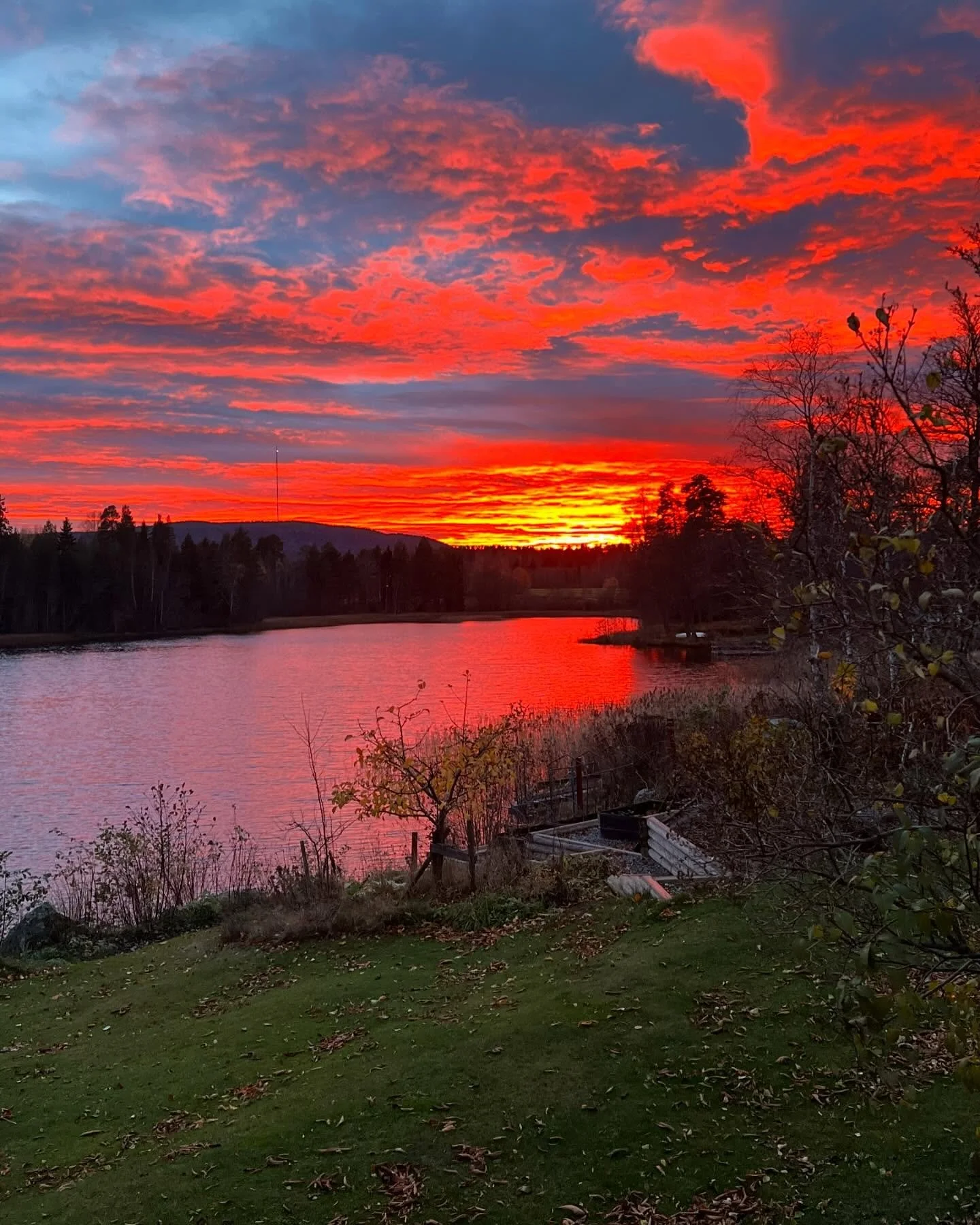 VECKORNA RUSAR
Som alltid den h&auml;r tiden p&aring; &aring;ret &auml;r det fullt &ouml;s p&aring; Asknekontoret. F&aring;r p&aring;minna mig sj&auml;lv om att pausa d&aring; och d&aring; f&ouml;r att str&auml;cka p&aring; benen och r&auml;ta upp hu