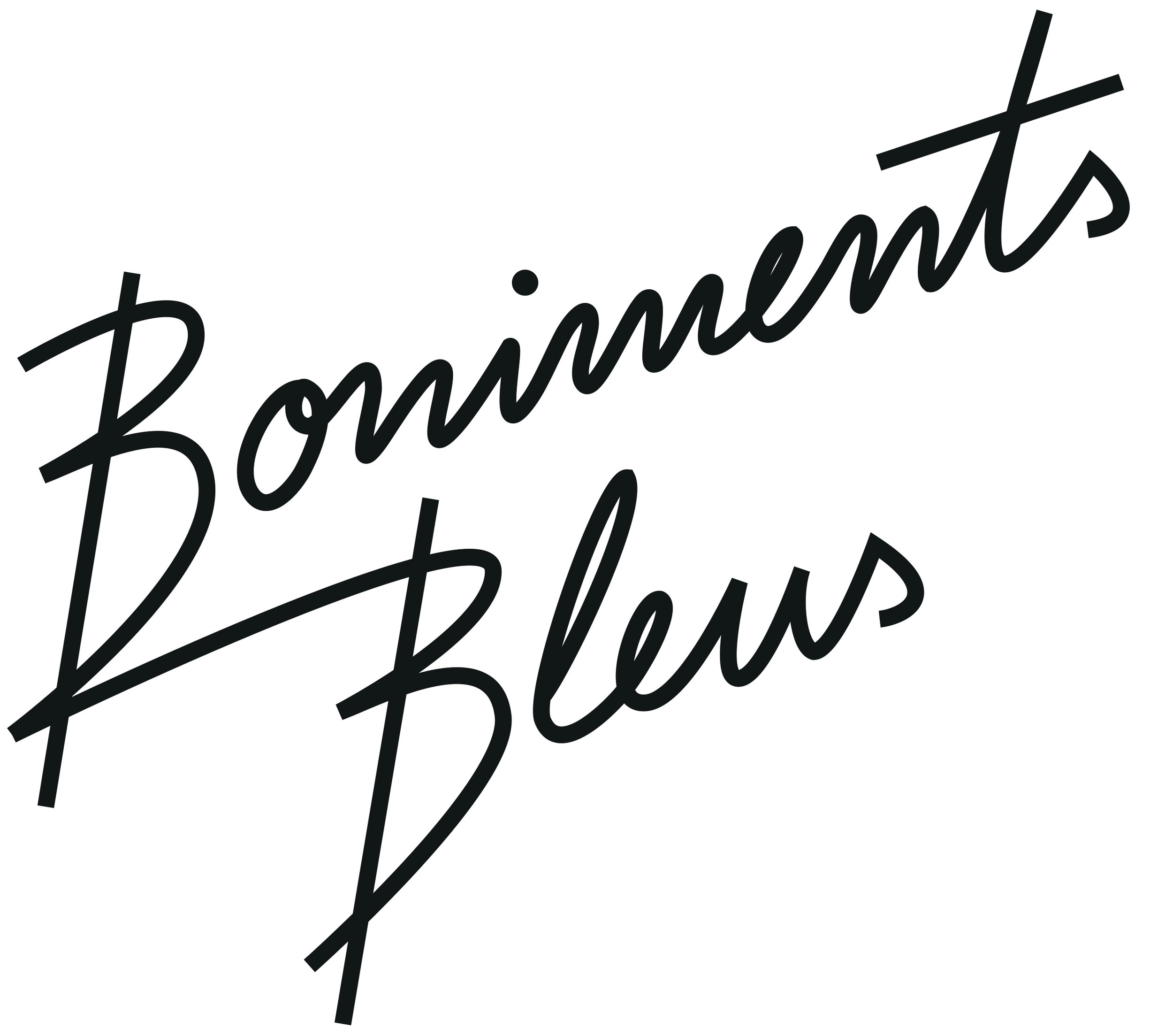 Boniments Bleus