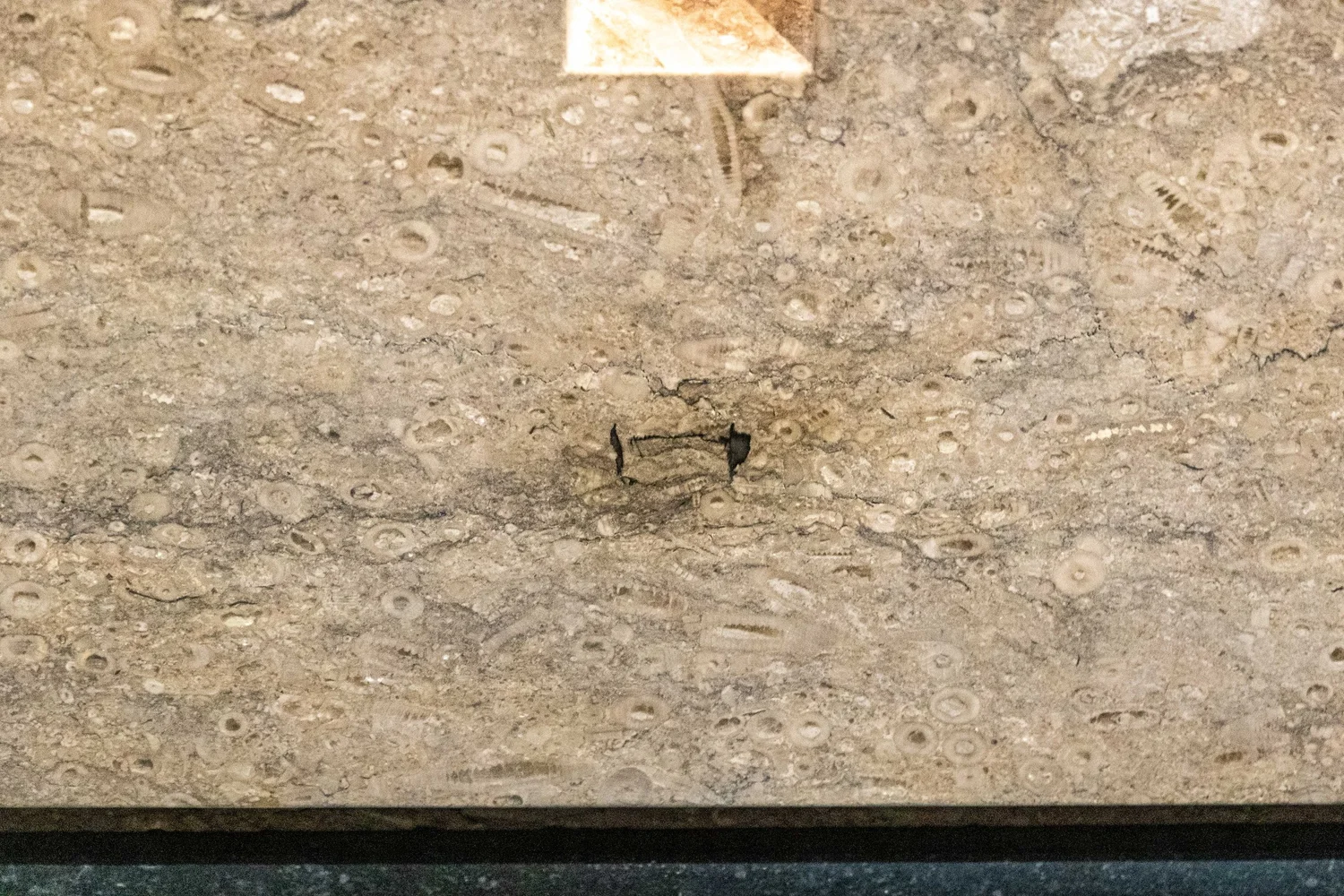 The king in the car park part 1 Leicester Cathedral, Richard III's