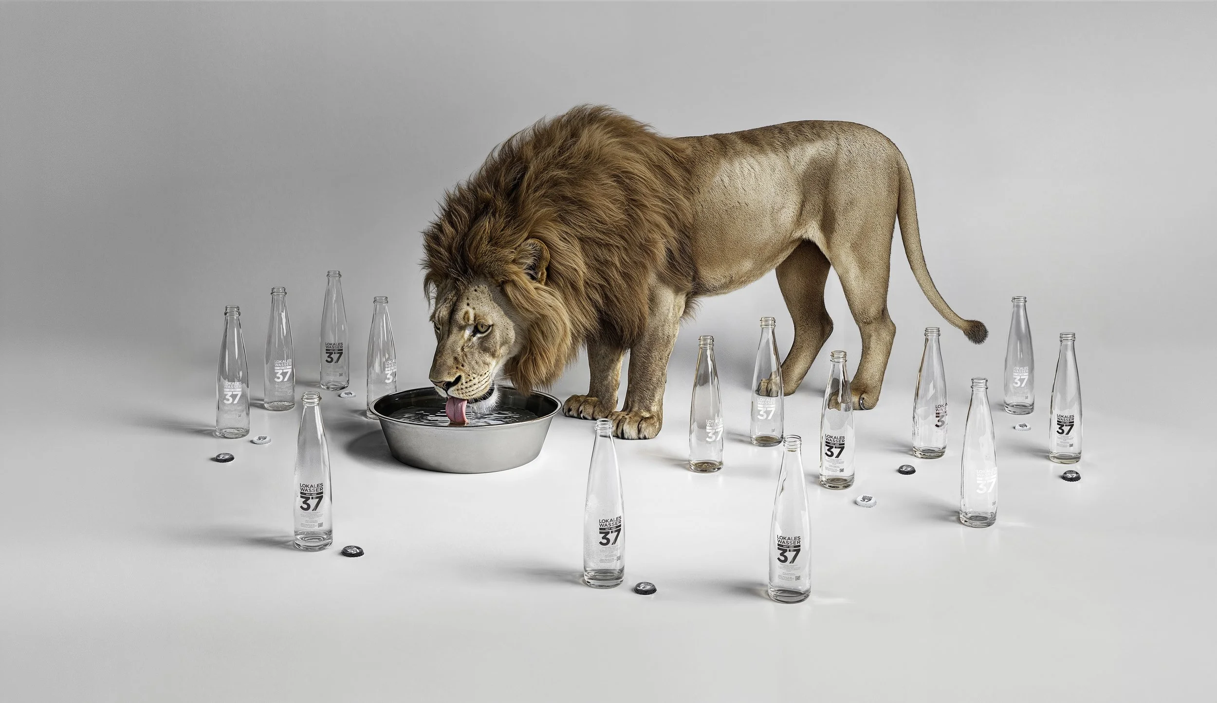 Wasser37_Loewe_02 Kopie 3.jpg