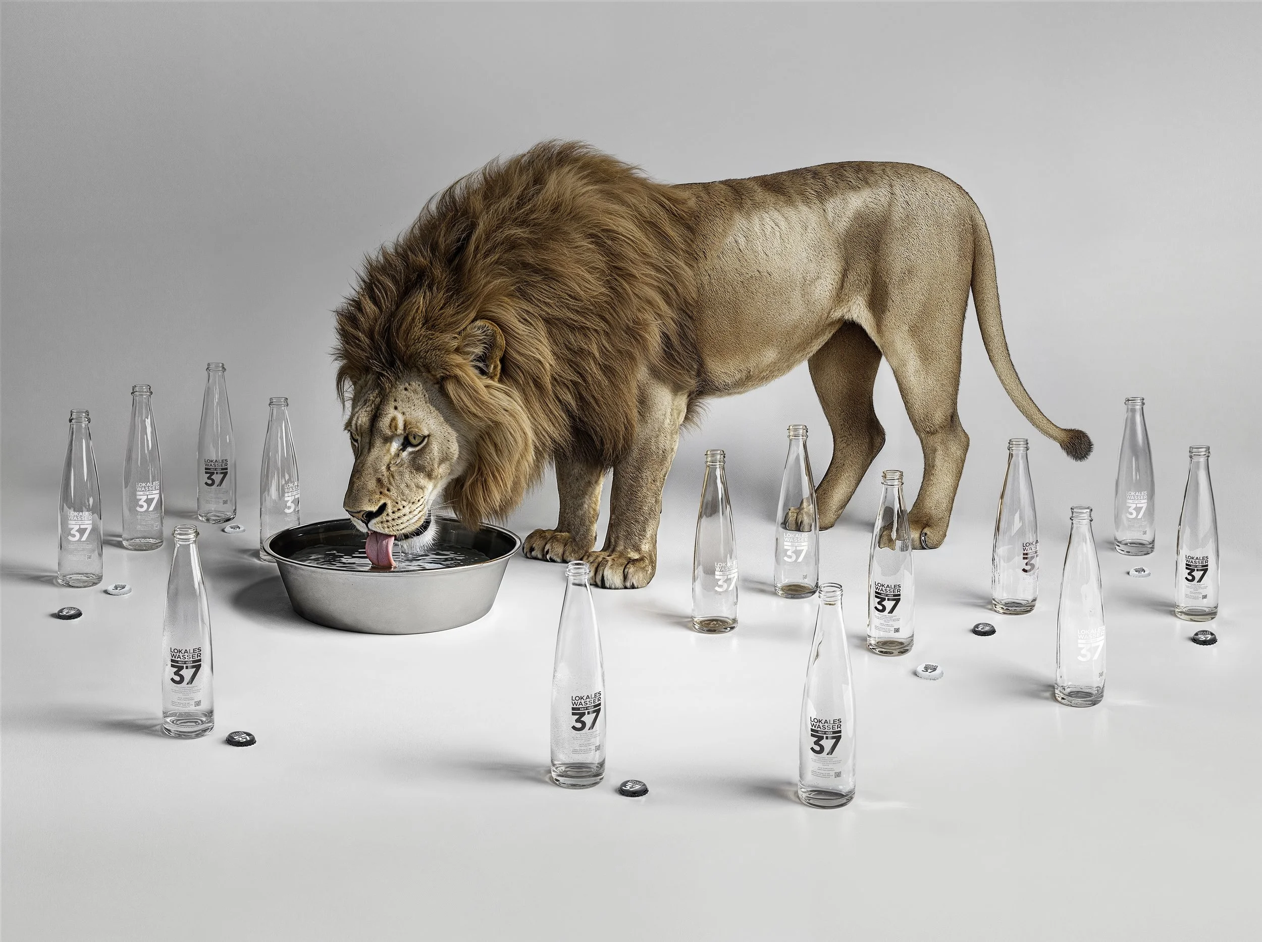 Wasser37_Loewe_02 Kopie.jpg (Kopie)