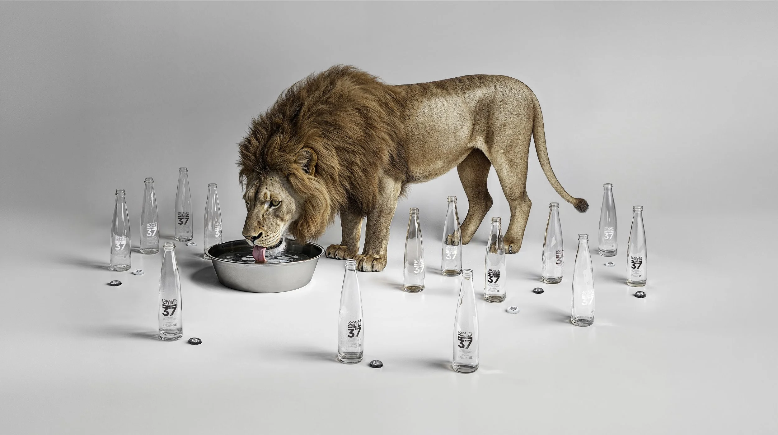 Wasser37_Loewe_02 Kopie 2.jpg