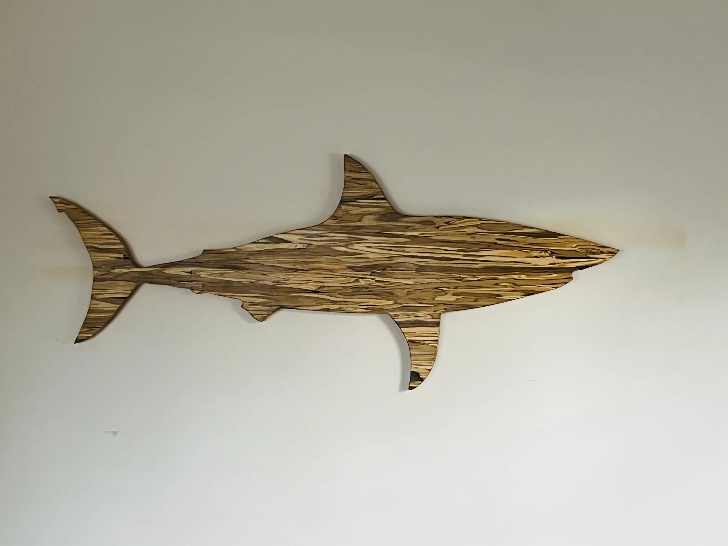 s_image_1790337697474.JPEG