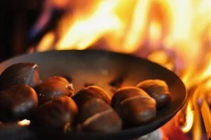 Roasted Chestnuts + Embers: JM Type