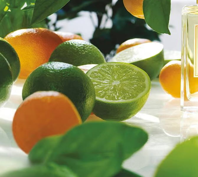 LIME BASIL & MANDARIN