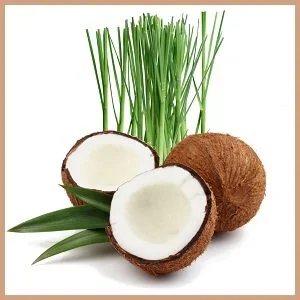 COCONUT & LEMONGRASS