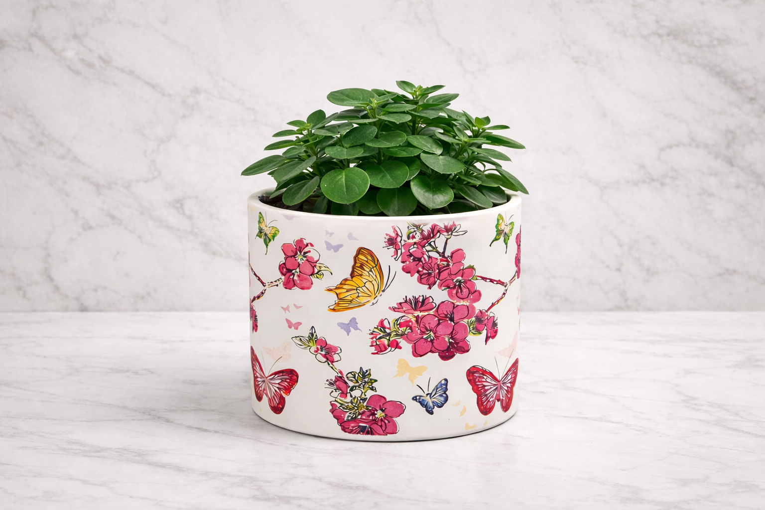 ChatGPT Image Mar 10, 2026, 02_25_10 PM.png