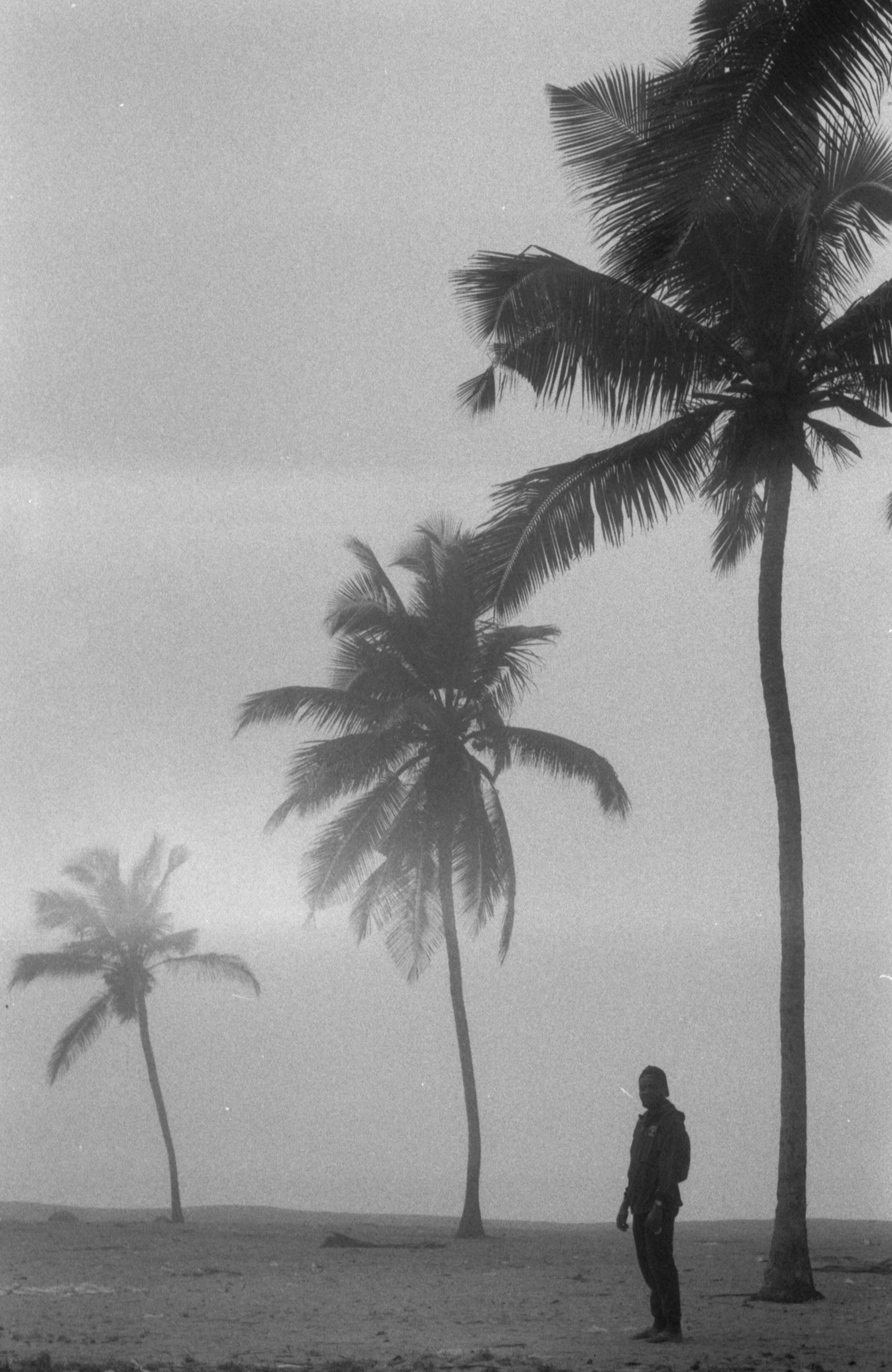 film418.jpg