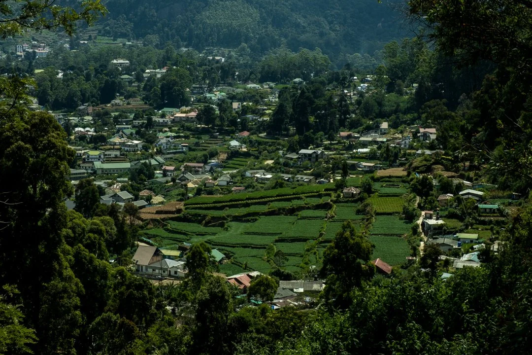 OfoeAmegavie.com5.jpg