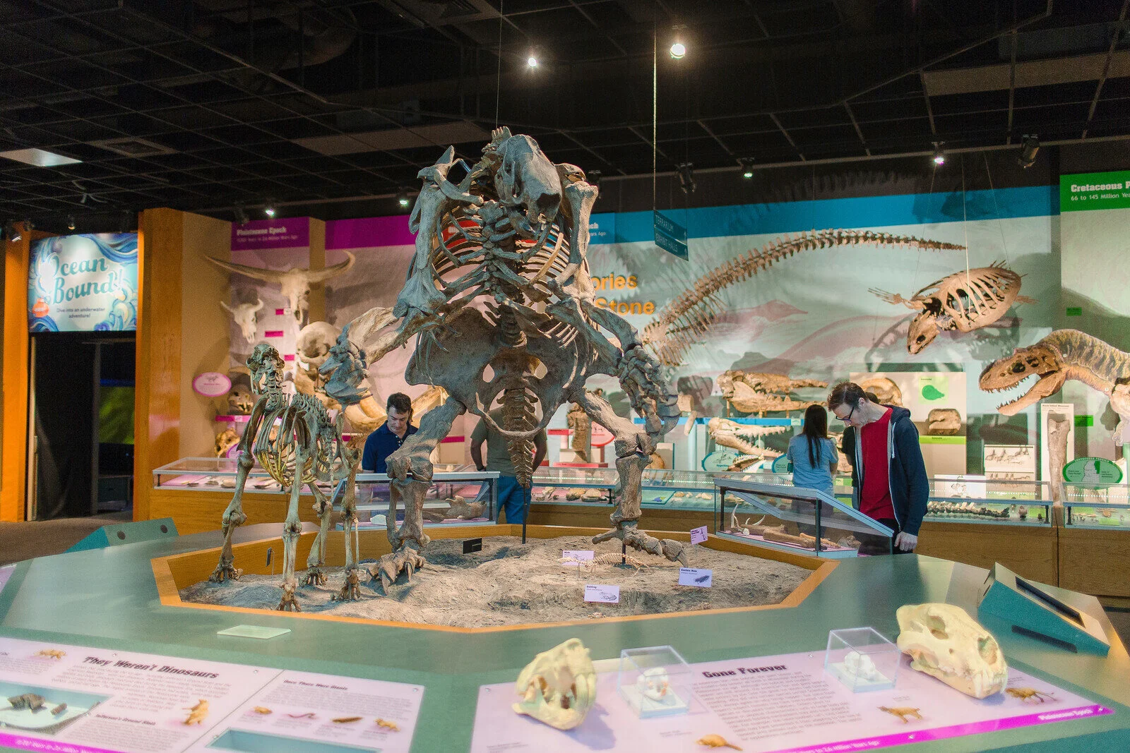 20190309_FossilRoadShow_426-X3.jpg