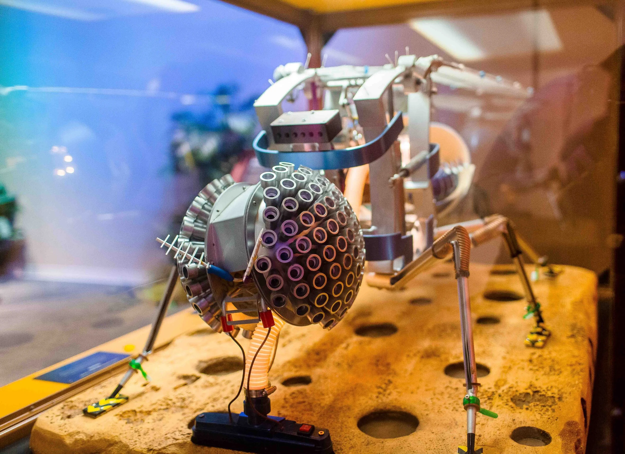 The Robot Zoo Exhibit Activity How Do They Move? — Mississippi Museum