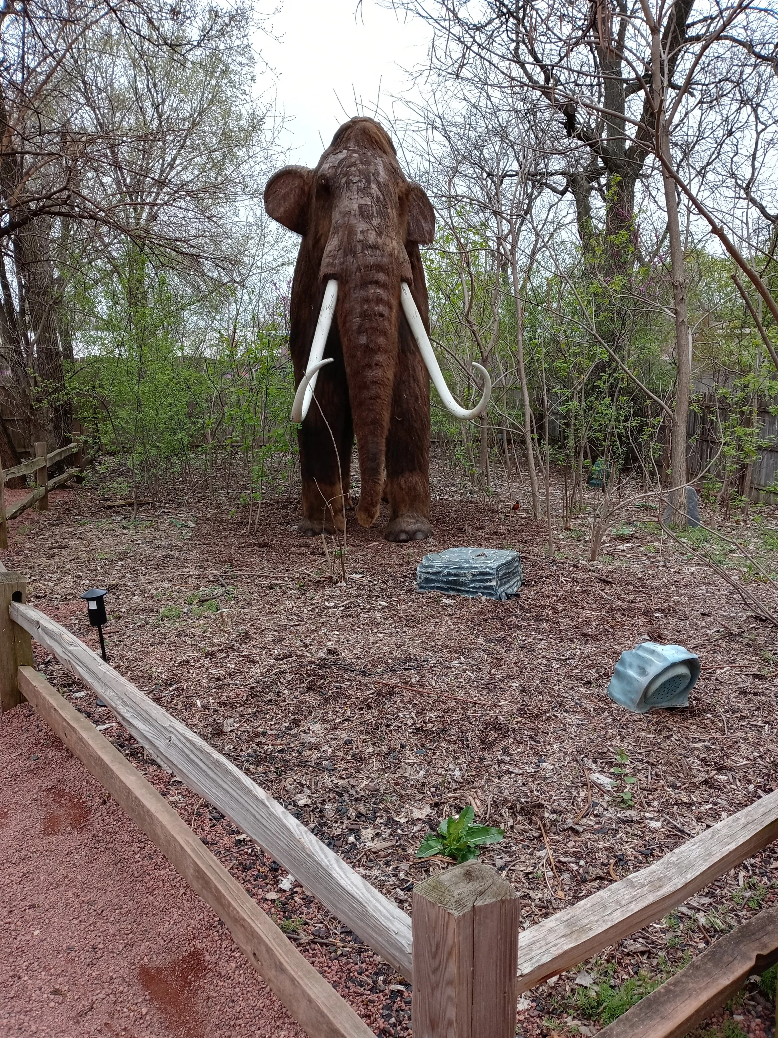 Woolly Mammoth (2) (1).jpg