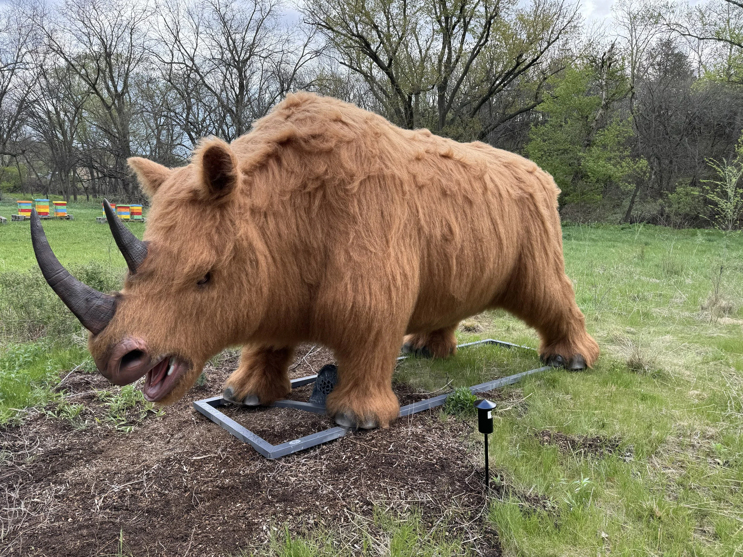 Woolly Rhino.jpg
