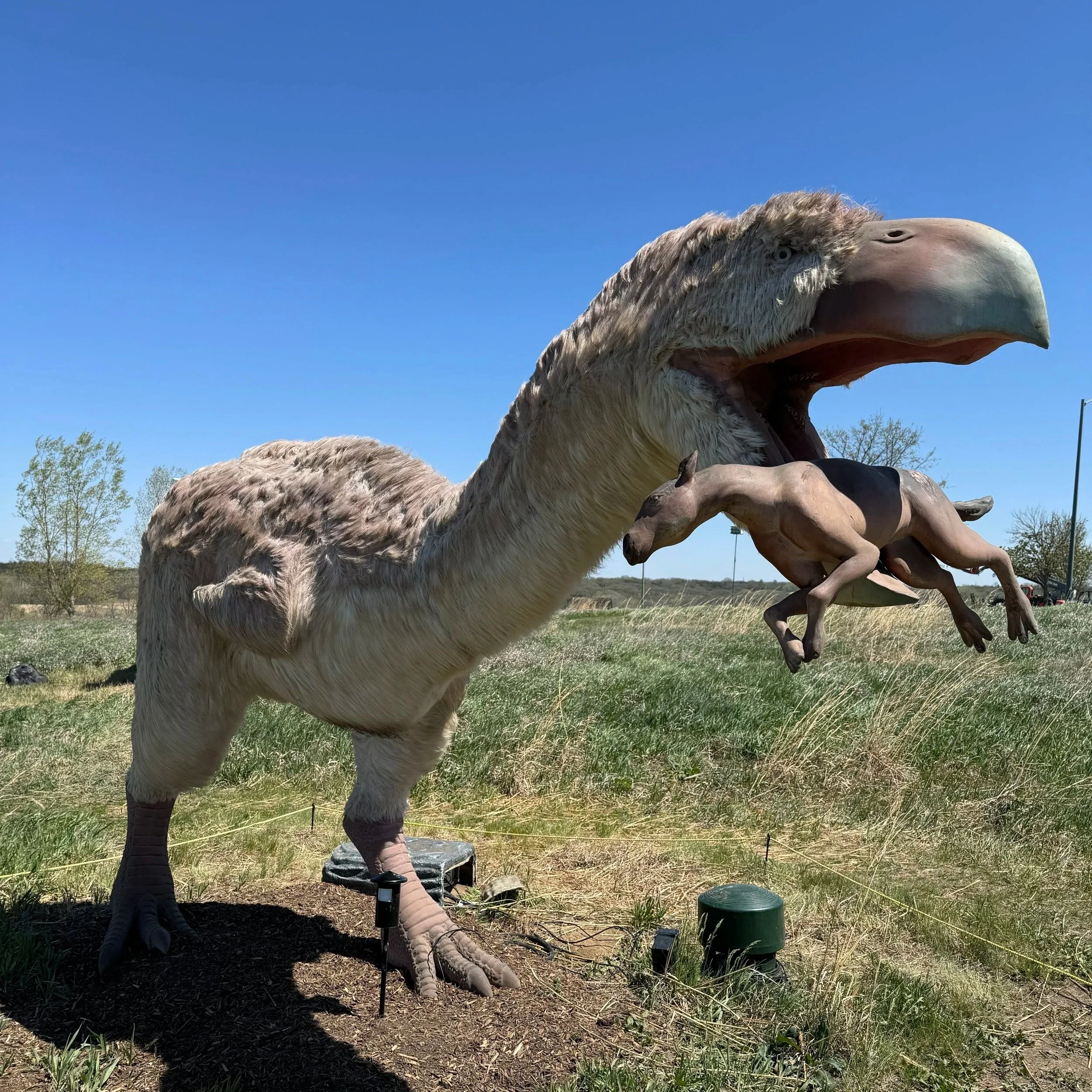 Terror+Bird.jpg