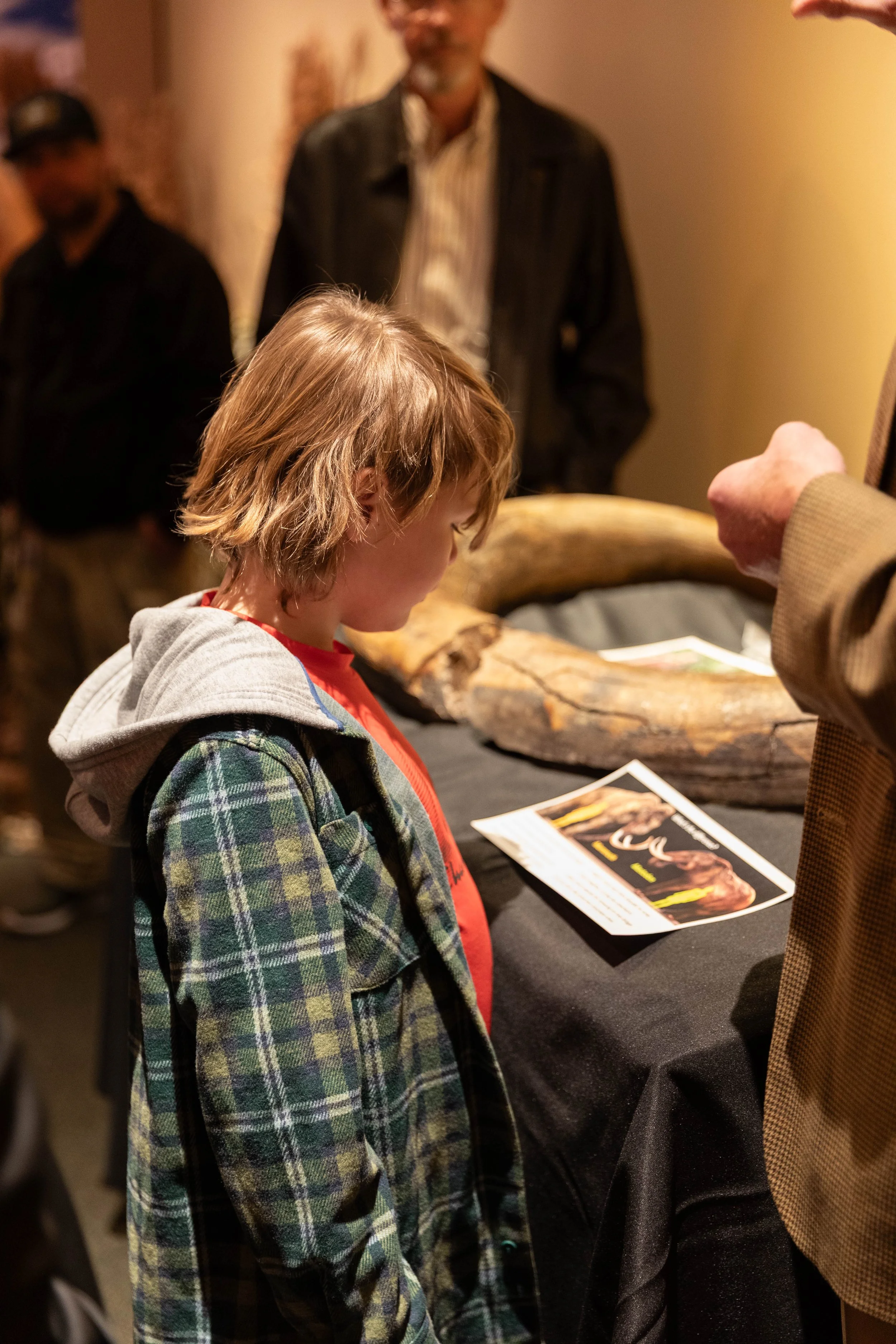 MUSEUM - 2026 JAN - Giants of the Ice Age-17.jpg