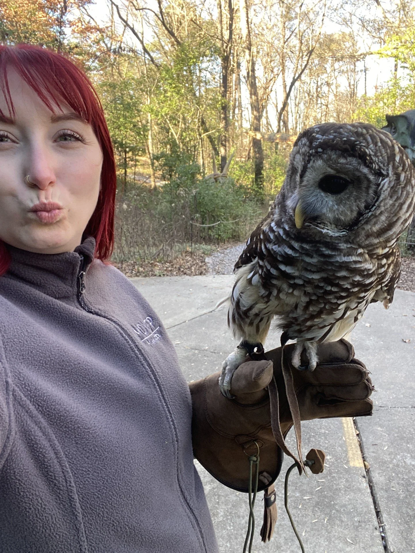 Gabi Guest with owl