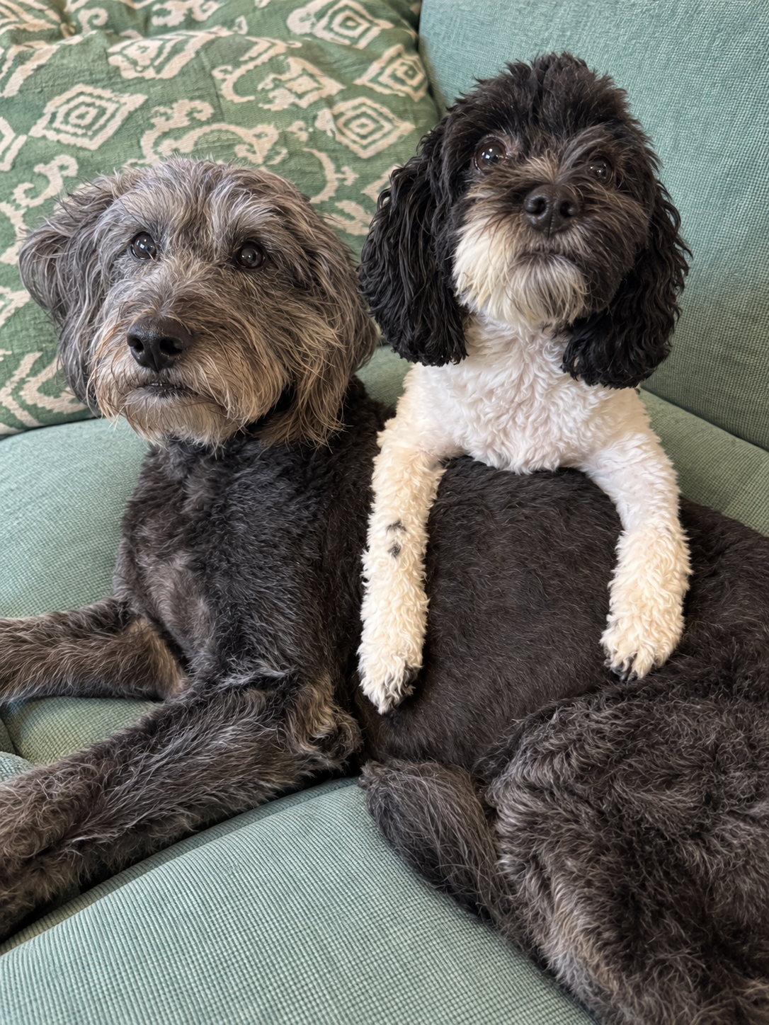 Delta and Poppy