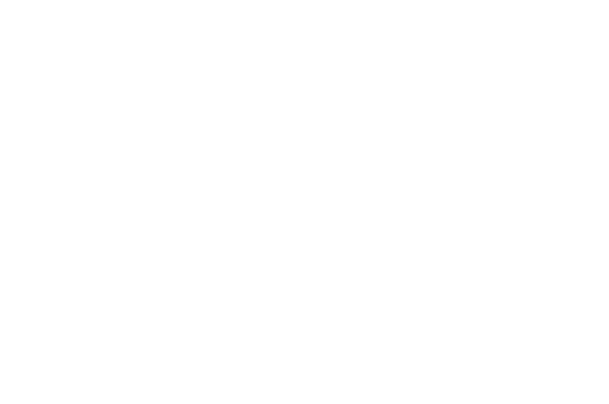 OFFICIALSELECTION-AdirondackFilmFestival-2020 White.png