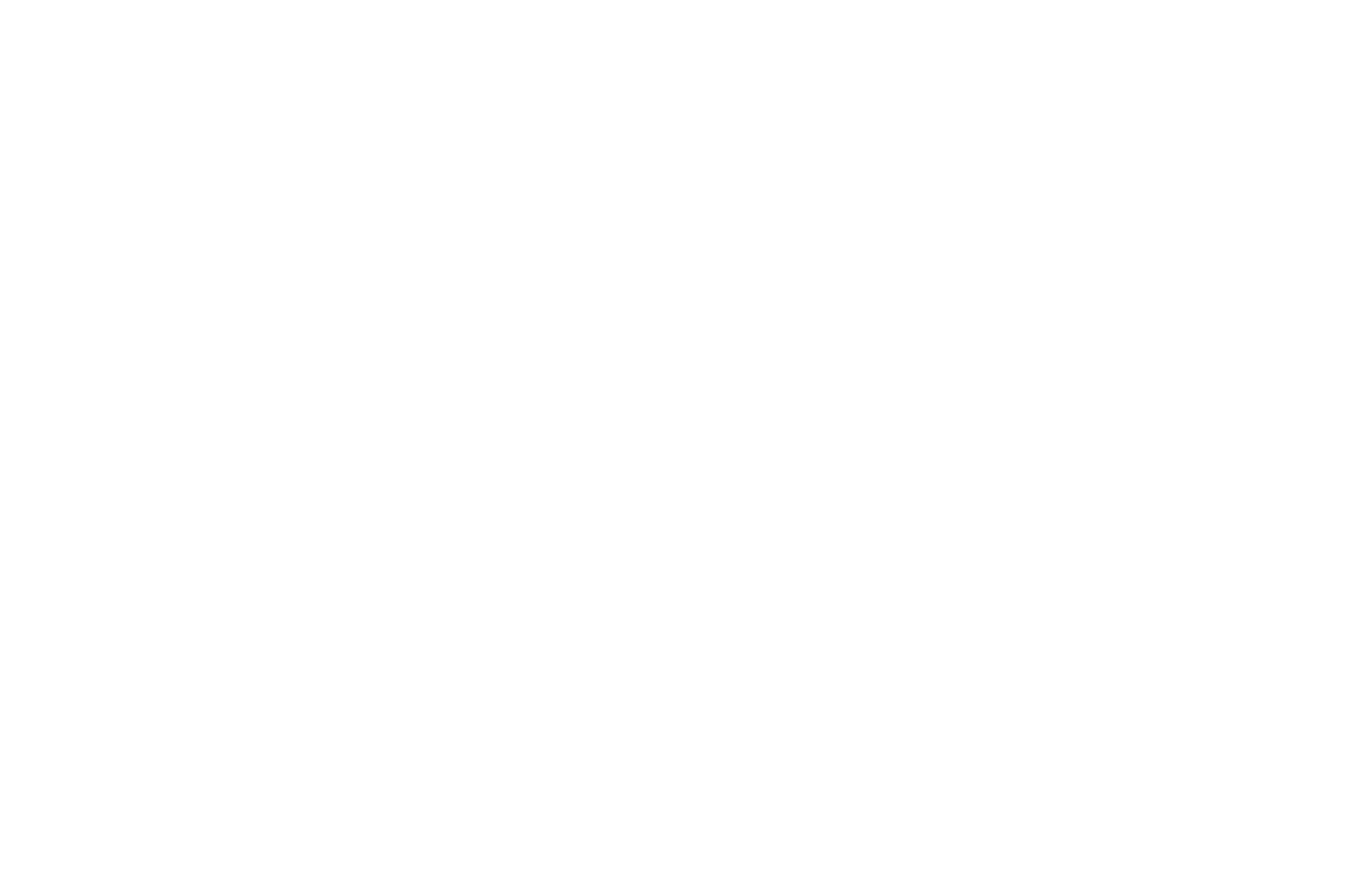 OFFICIALSELECTION-SanAngeloRevolutionFilmFestival-2020 (1).png