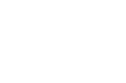 OFFICIALSELECTION-TwinCitiesFilmFest-2020 white lettering.png