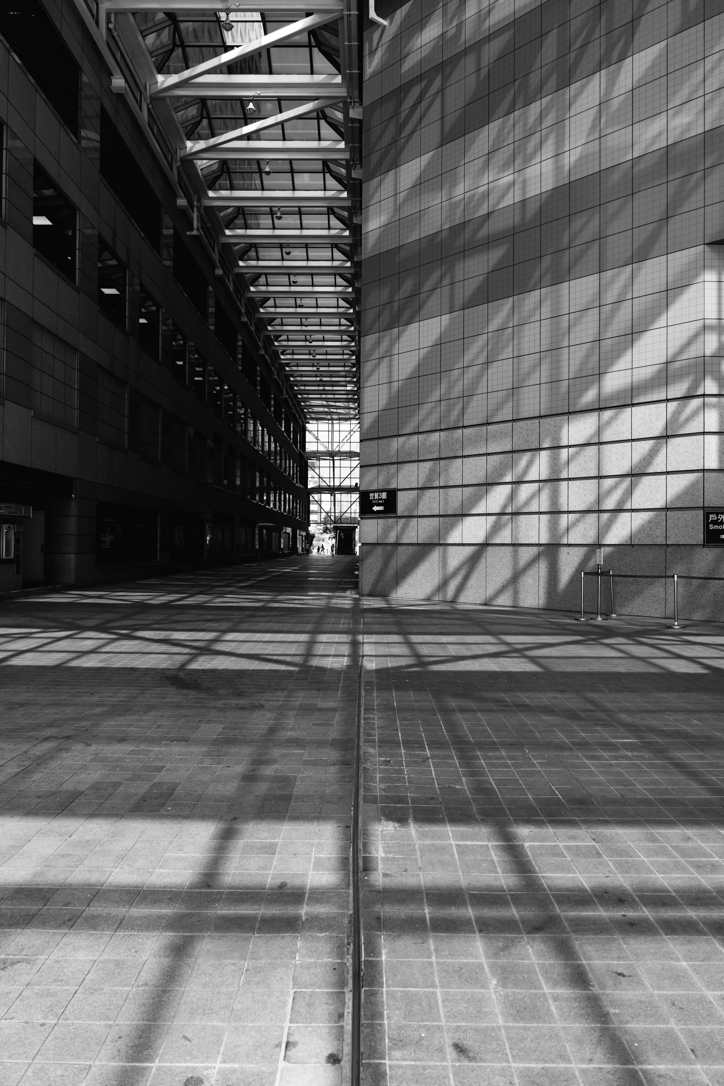L1000984.jpg