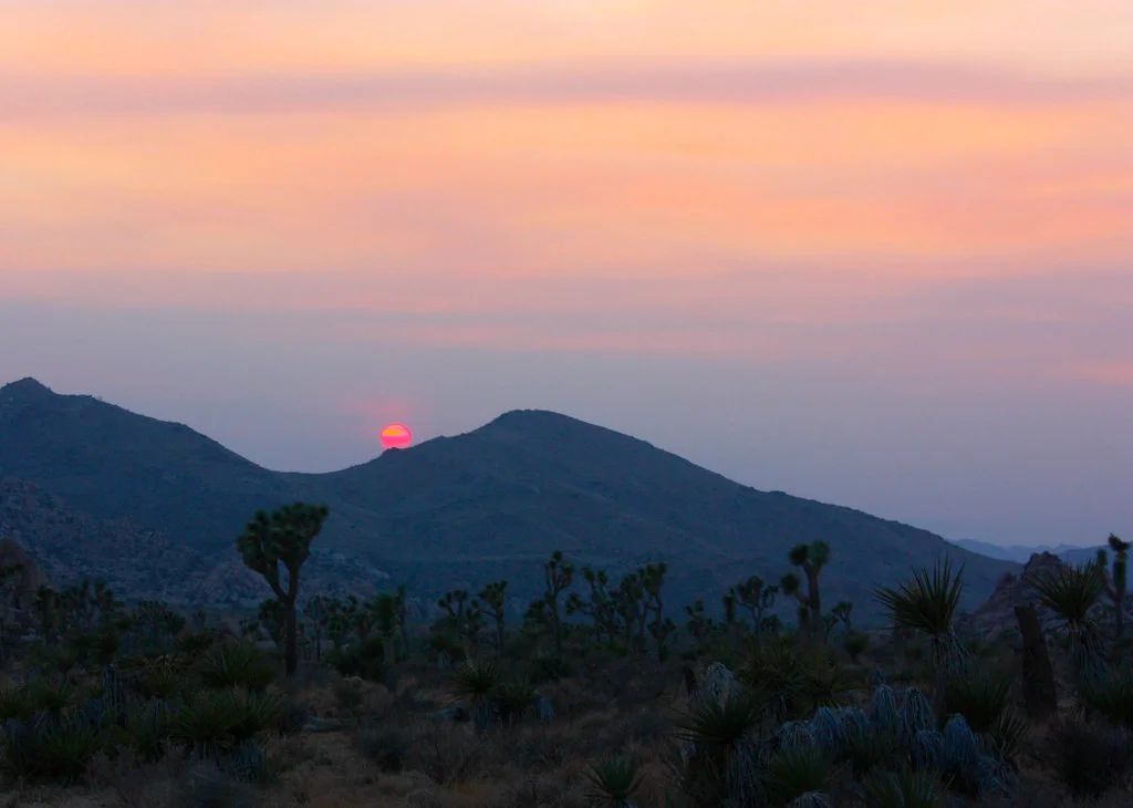 Joshua Tree National Park