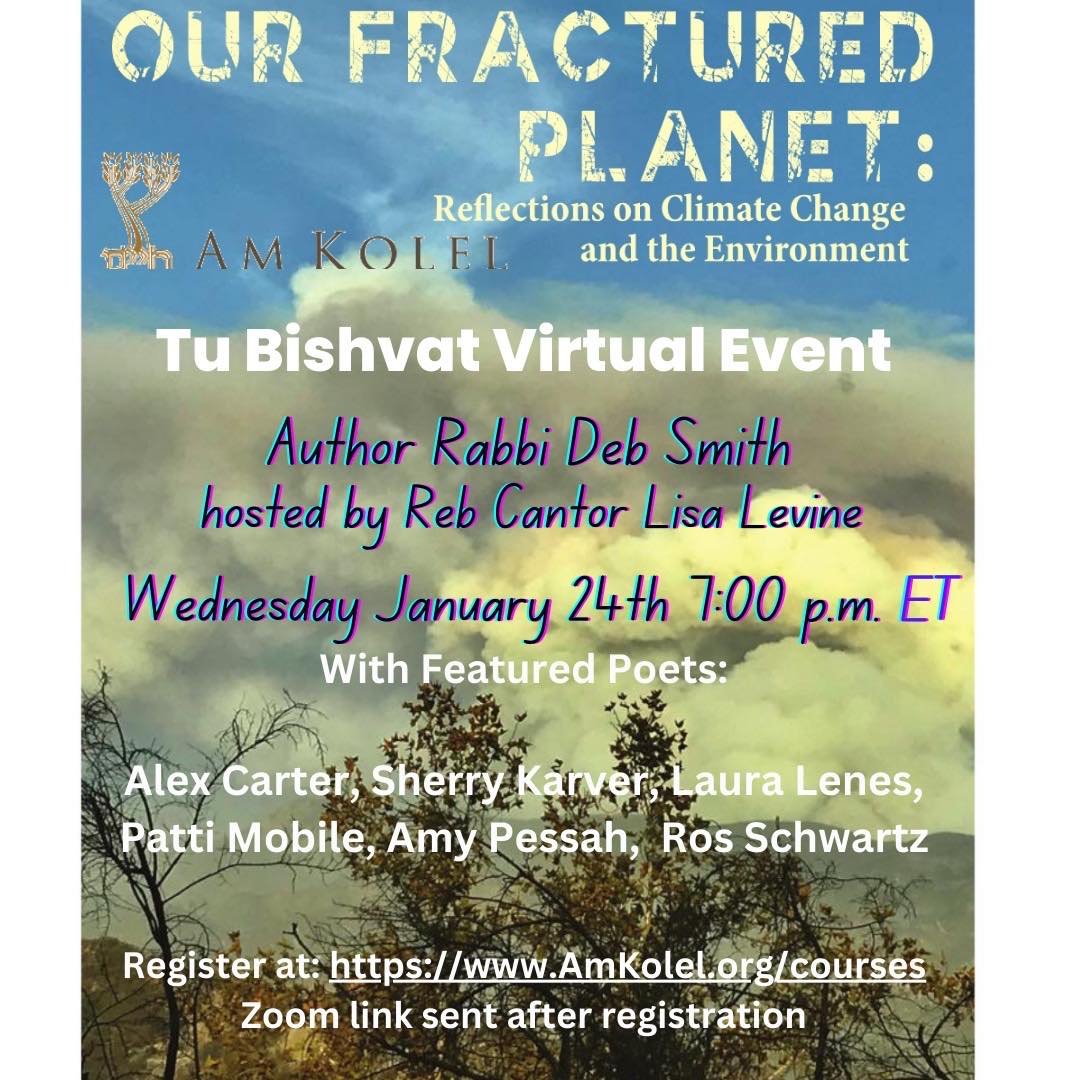Our Fractured Planet: Reflections on Climate Change and the Environment