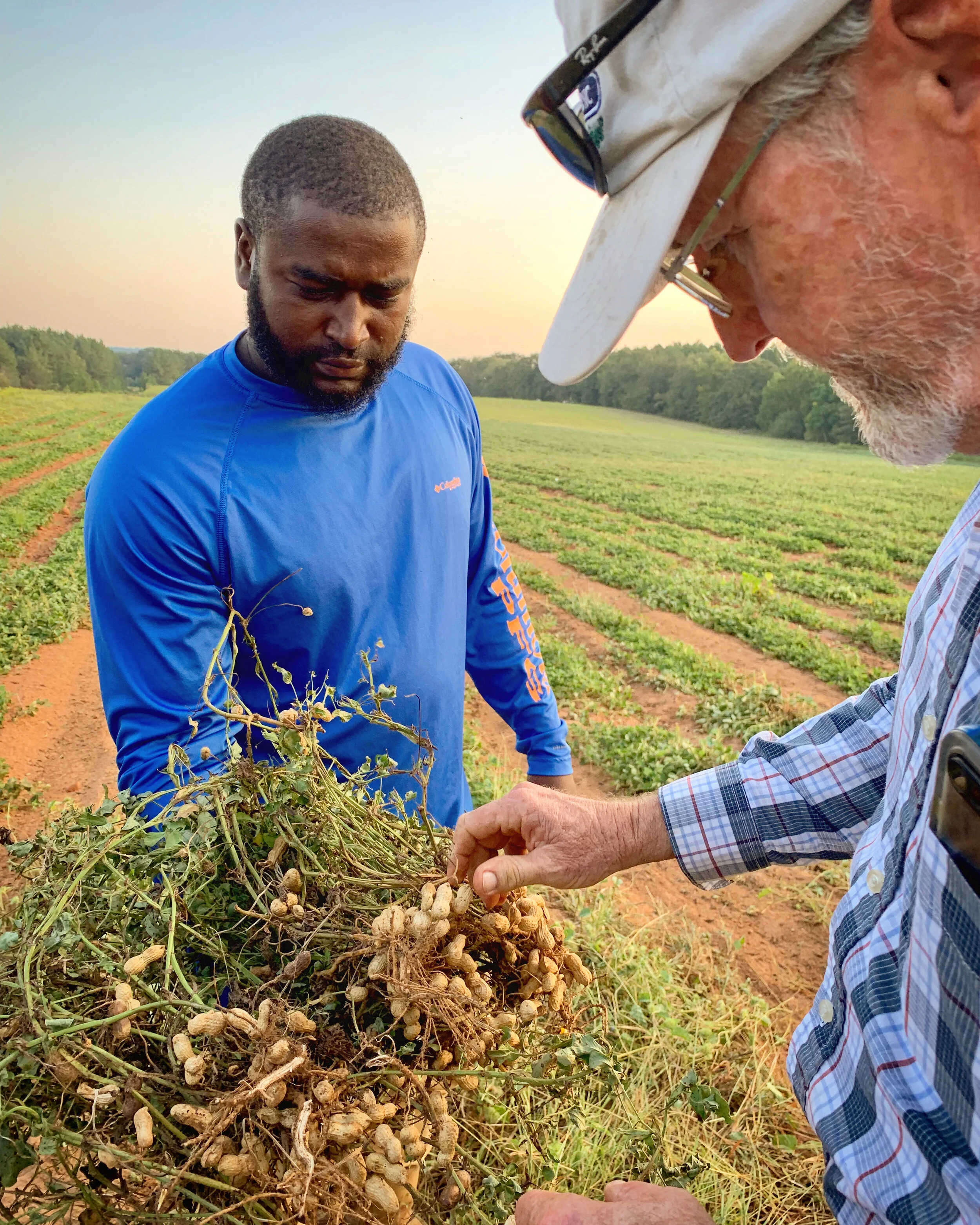 Sed Rowe, GOPA Peanut Farmer, Featured in New York Times